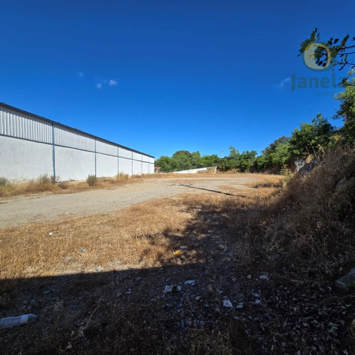 Negócio para Venda em São Brás de Alportel Foto 17