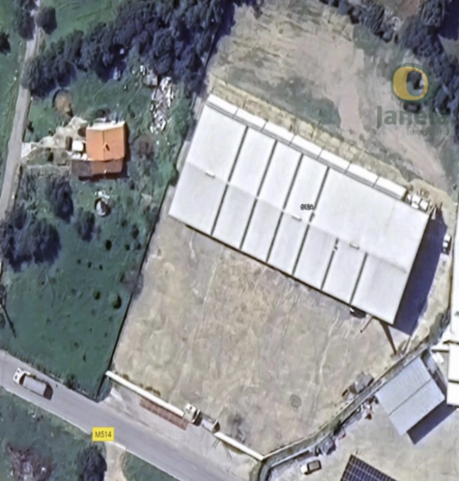 Negócio para Venda em São Brás de Alportel Foto 6