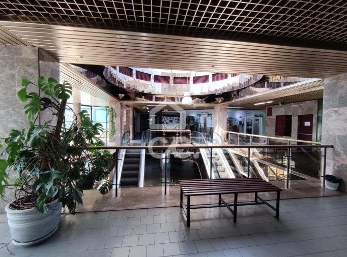 Negócio para Venda em Santa Maria Maior Foto 7