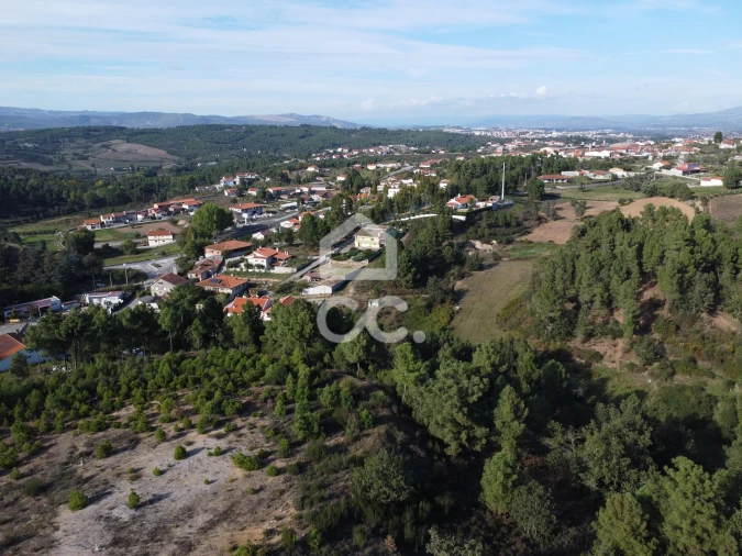 Terreno para Venda em São Pedro de Agostem Foto 4