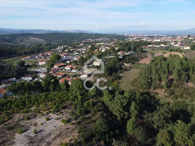 Terreno para Venda em São Pedro de Agostem Foto 4