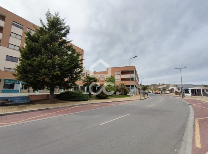 Negócio para Venda em Santa Maria Maior Foto 17