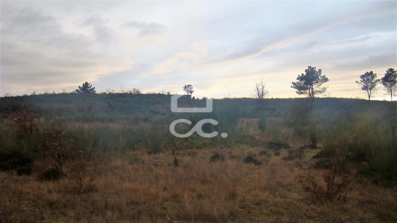 Terreno para Venda em Outeiro Seco Foto 3