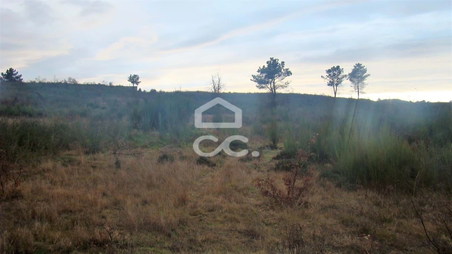 Terreno para Venda em Outeiro Seco Foto 4