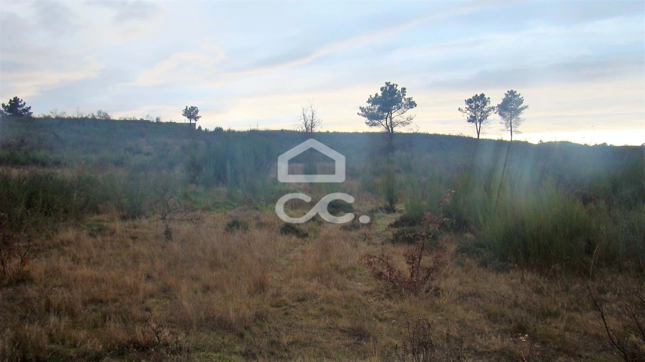 Terreno para Venda em Outeiro Seco Foto 4