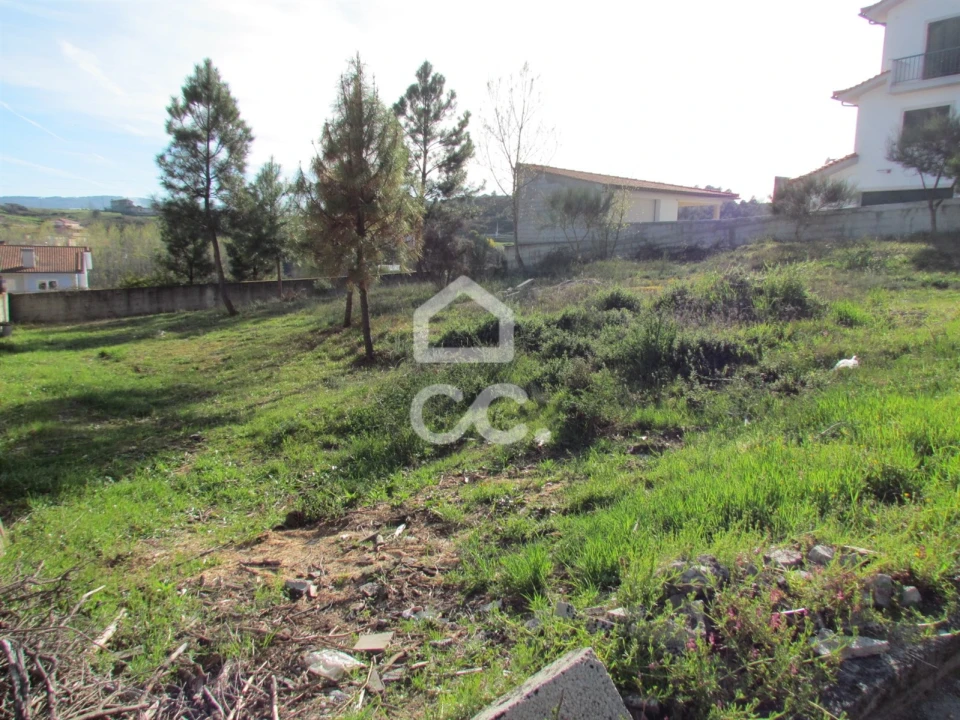 Terreno para Venda em Santa Maria Maior Foto 5