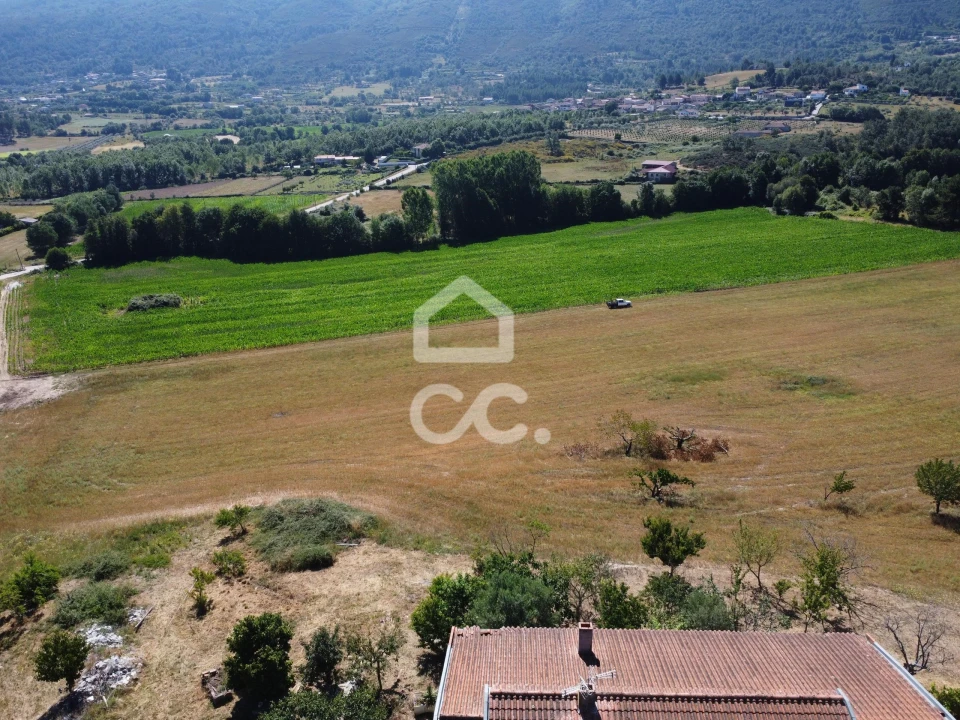 Quinta para Venda em Santa Maria Maior Foto 24