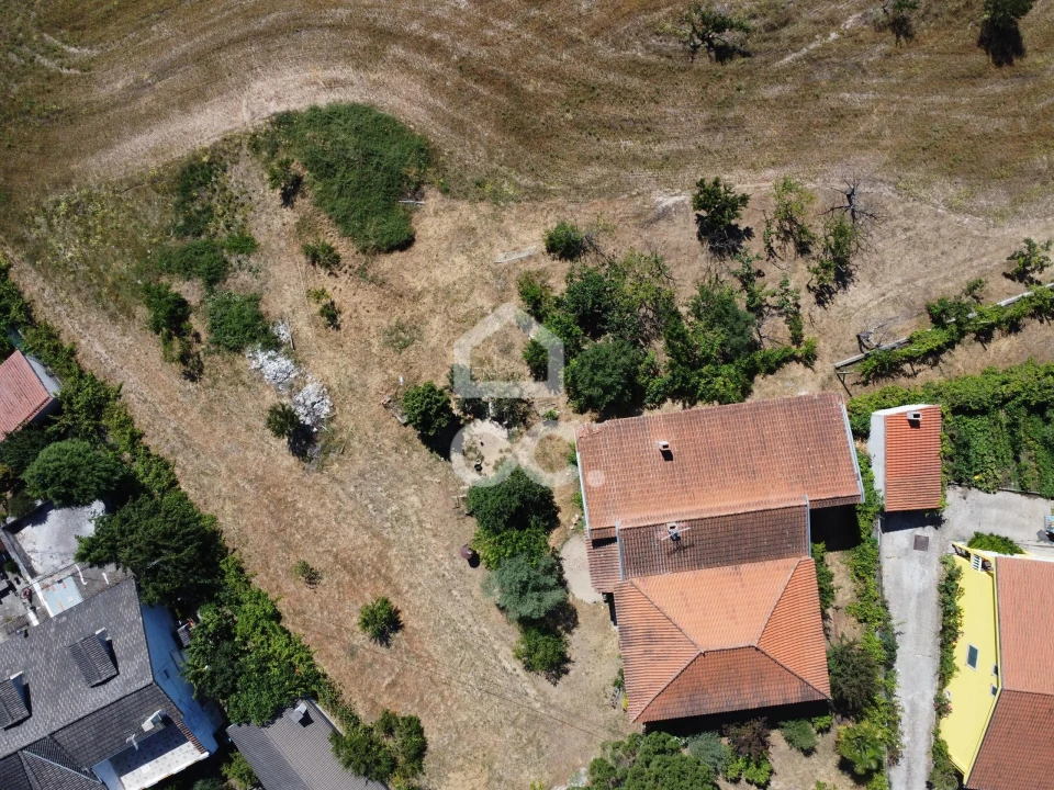 Quinta para Venda em Santa Maria Maior Foto 19