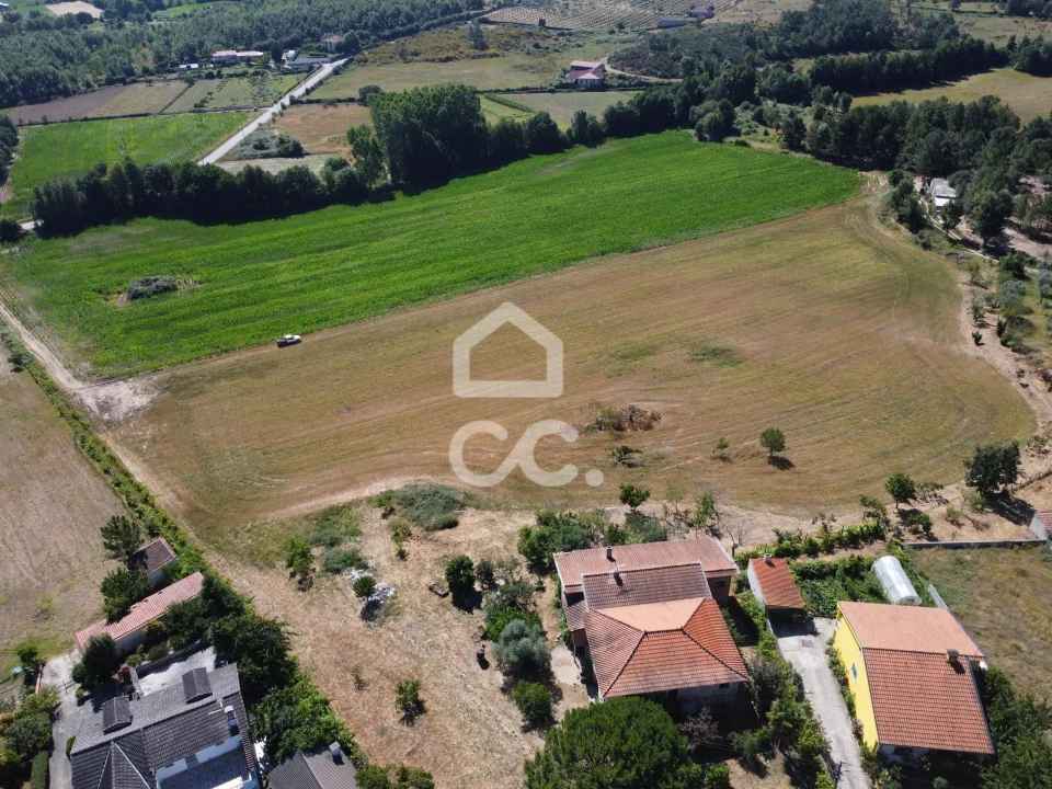 Quinta para Venda em Santa Maria Maior Foto 20