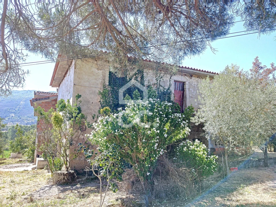 Quinta para Venda em Santa Maria Maior Foto 1