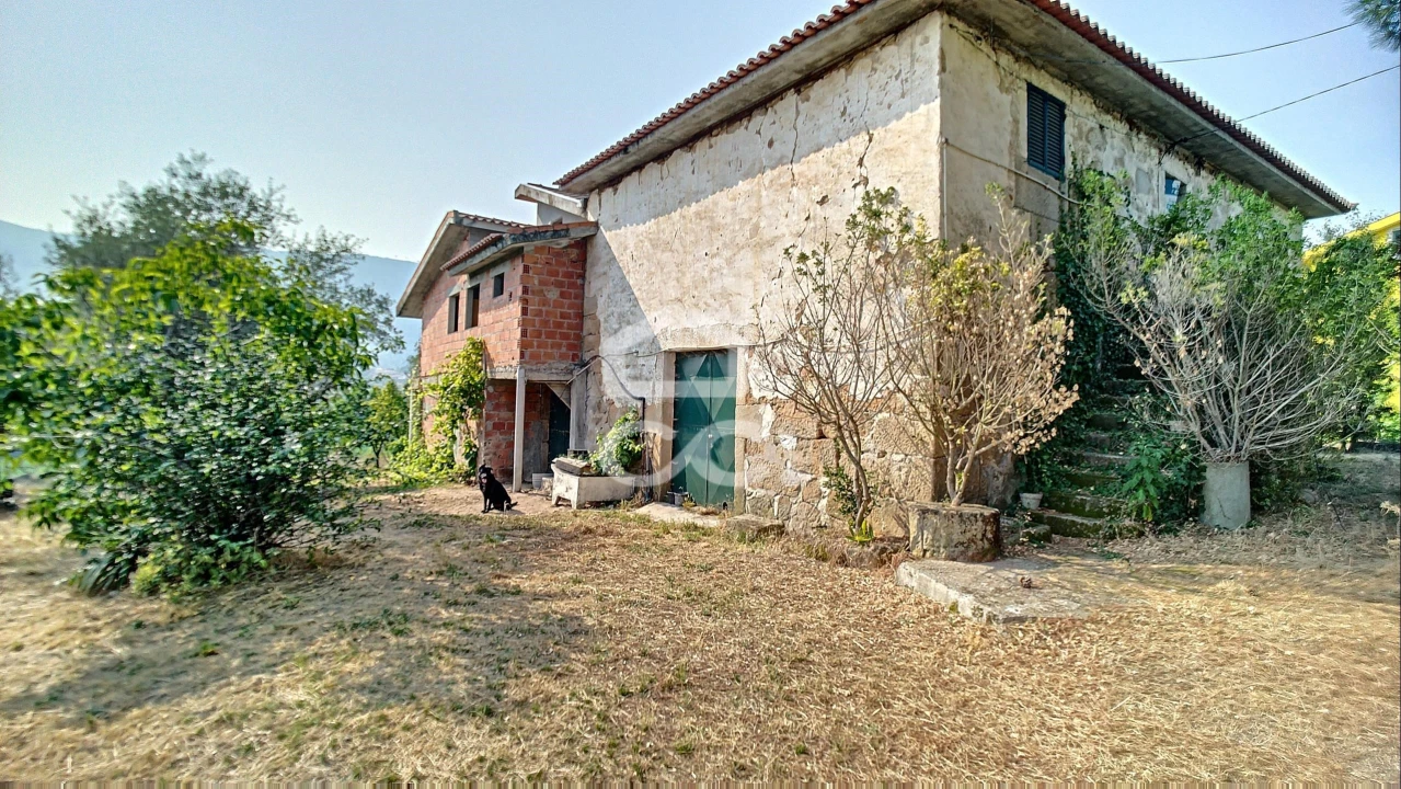 Quinta para Venda em Santa Maria Maior Foto 3