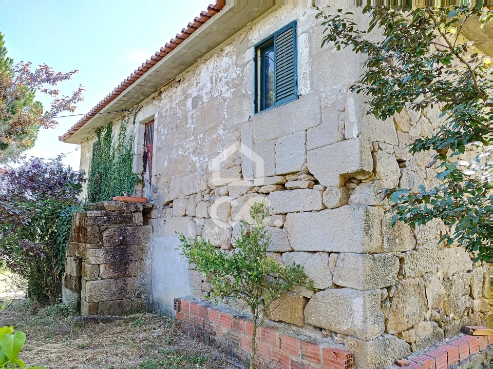Quinta para Venda em Santa Maria Maior Foto 5