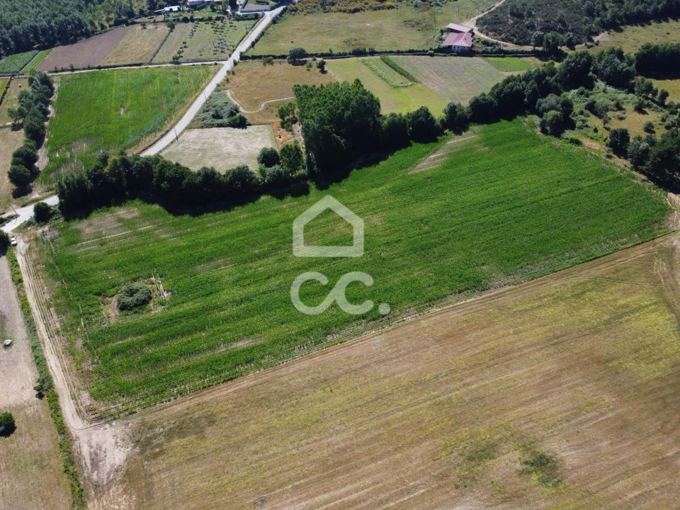 Quinta para Venda em Santa Maria Maior Foto 17