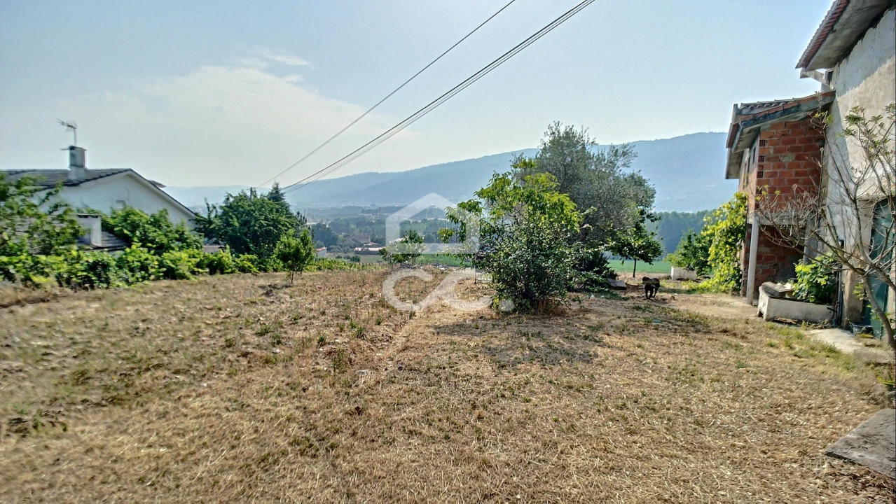 Quinta para Venda em Santa Maria Maior Foto 9