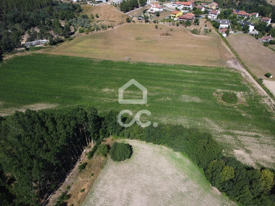Quinta para Venda em Santa Maria Maior Foto 21
