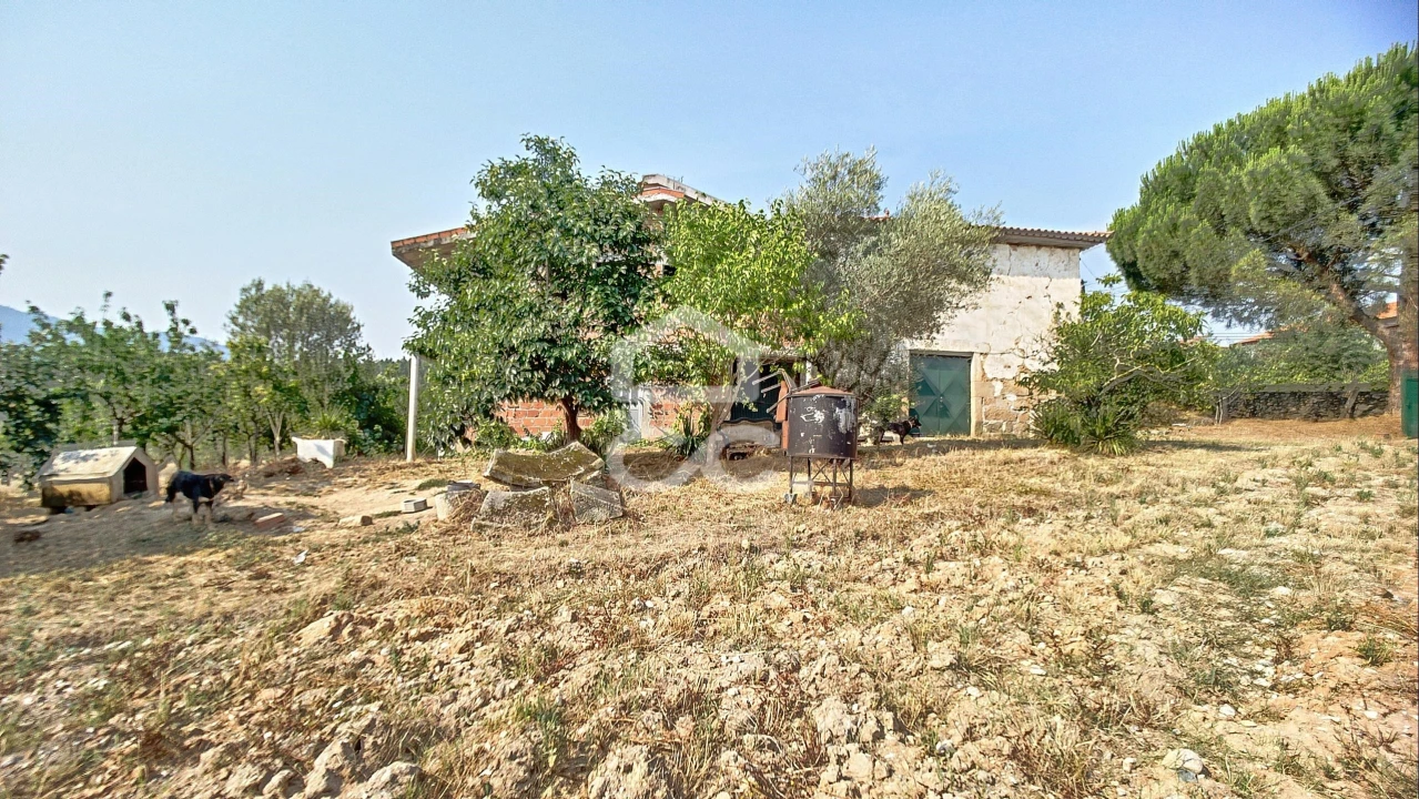 Quinta para Venda em Santa Maria Maior Foto 8