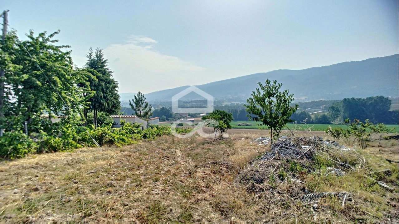 Quinta para Venda em Santa Maria Maior Foto 11