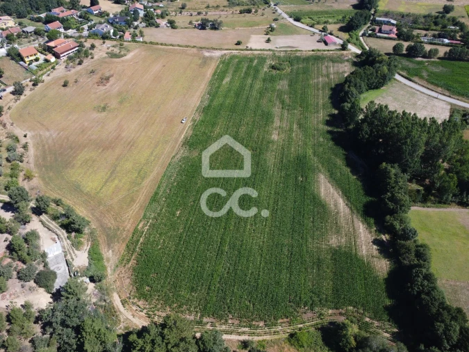 Quinta para Venda em Santa Maria Maior Foto 23
