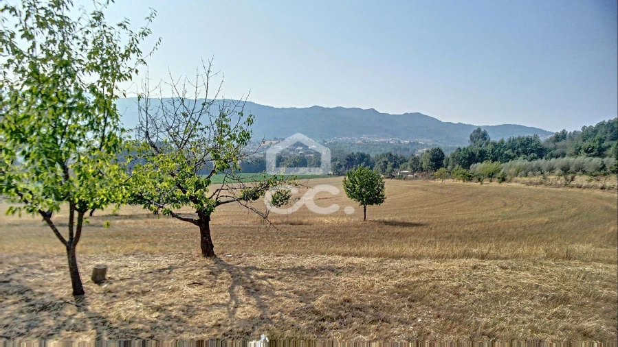 Quinta para Venda em Santa Maria Maior Foto 10