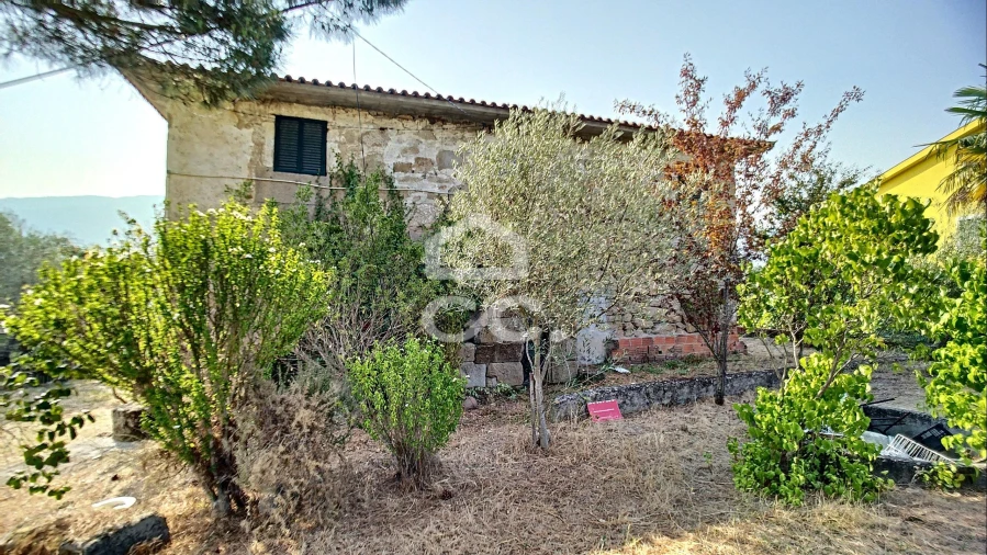 Quinta para Venda em Santa Maria Maior Foto 2