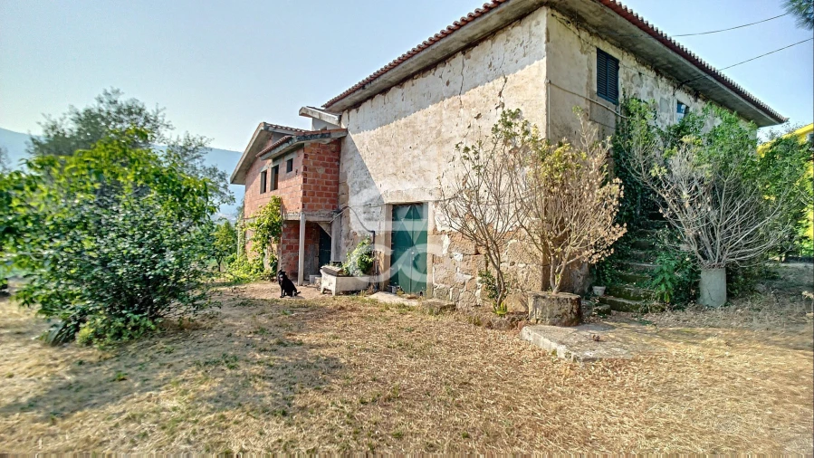 Quinta para Venda em Santa Maria Maior Foto 3