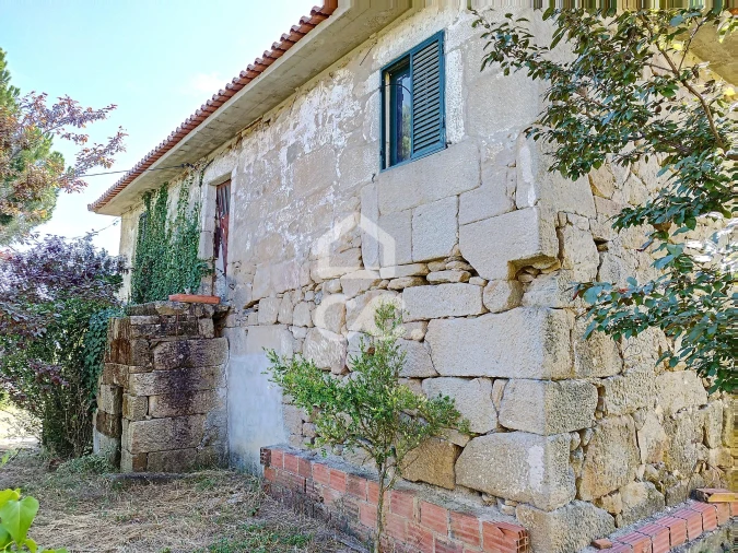 Quinta para Venda em Santa Maria Maior Foto 5