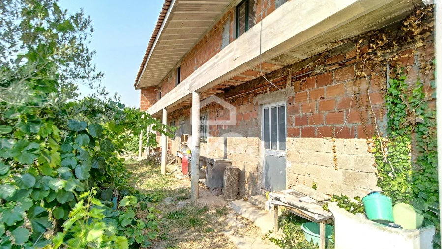 Quinta para Venda em Santa Maria Maior Foto 30