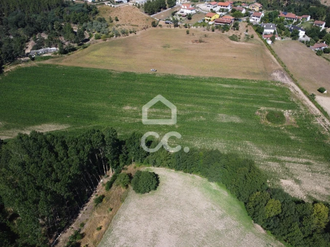 Quinta para Venda em Santa Maria Maior Foto 21