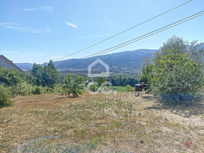 Quinta para Venda em Santa Maria Maior Foto 12