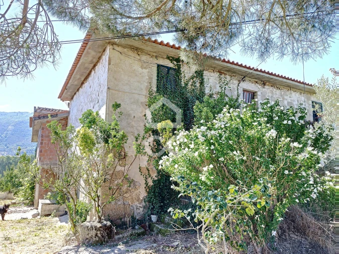 Quinta para Venda em Santa Maria Maior Foto 13