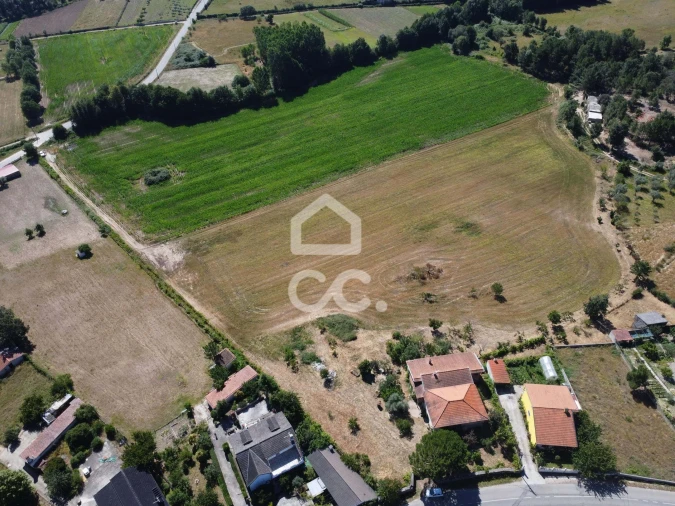 Quinta para Venda em Santa Maria Maior Foto 18