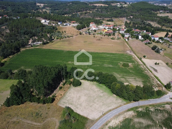 Quinta para Venda em Santa Maria Maior Foto 22
