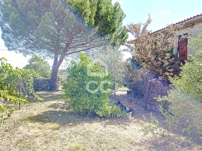 Quinta para Venda em Santa Maria Maior Foto 16