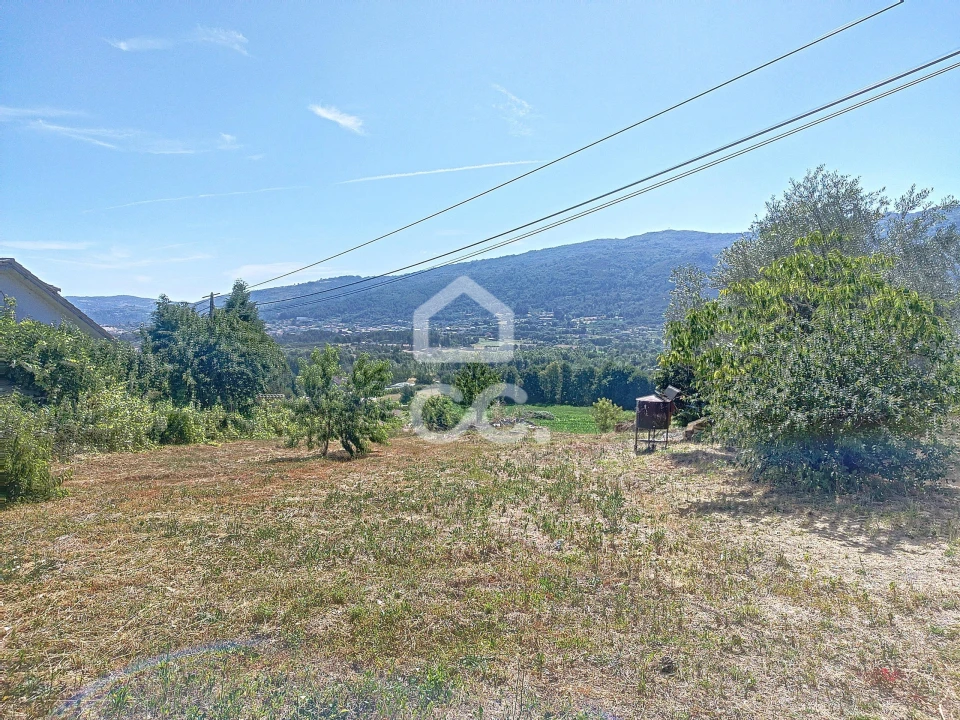 Quinta para Venda em Santa Maria Maior Foto 12