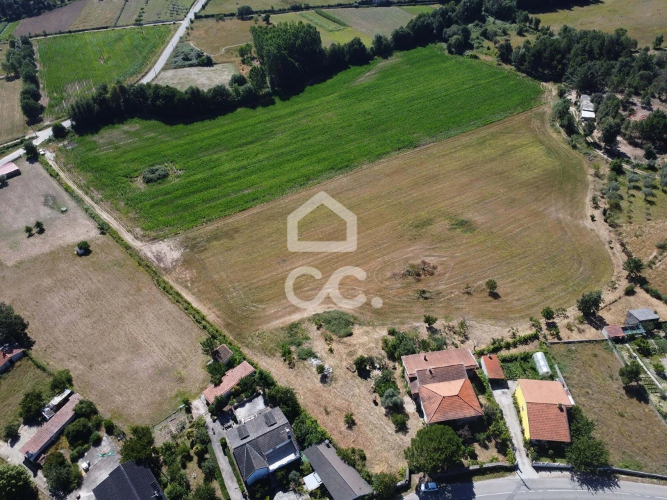 Quinta para Venda em Santa Maria Maior Foto 18