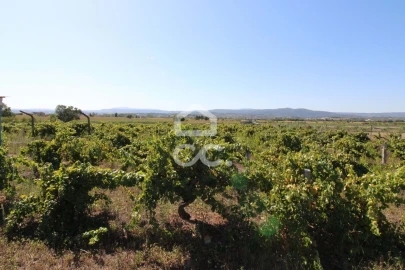 Terreno para Venda em Santo Estêvão