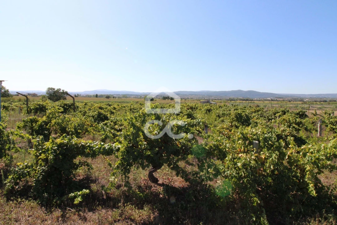 Terreno para Venda em Santo Estêvão Foto 7