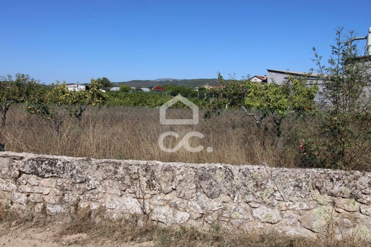 Terreno para Venda em Santo Estêvão Foto 5
