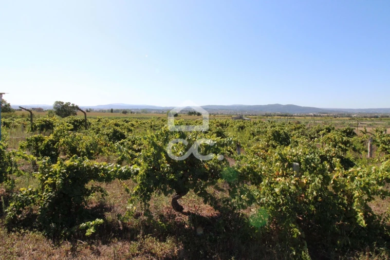 Terreno para Venda em Santo Estêvão Foto 7