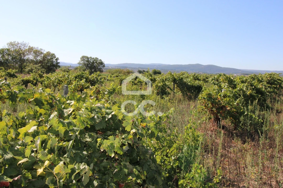 Terreno para Venda em Santo Estêvão Foto 6