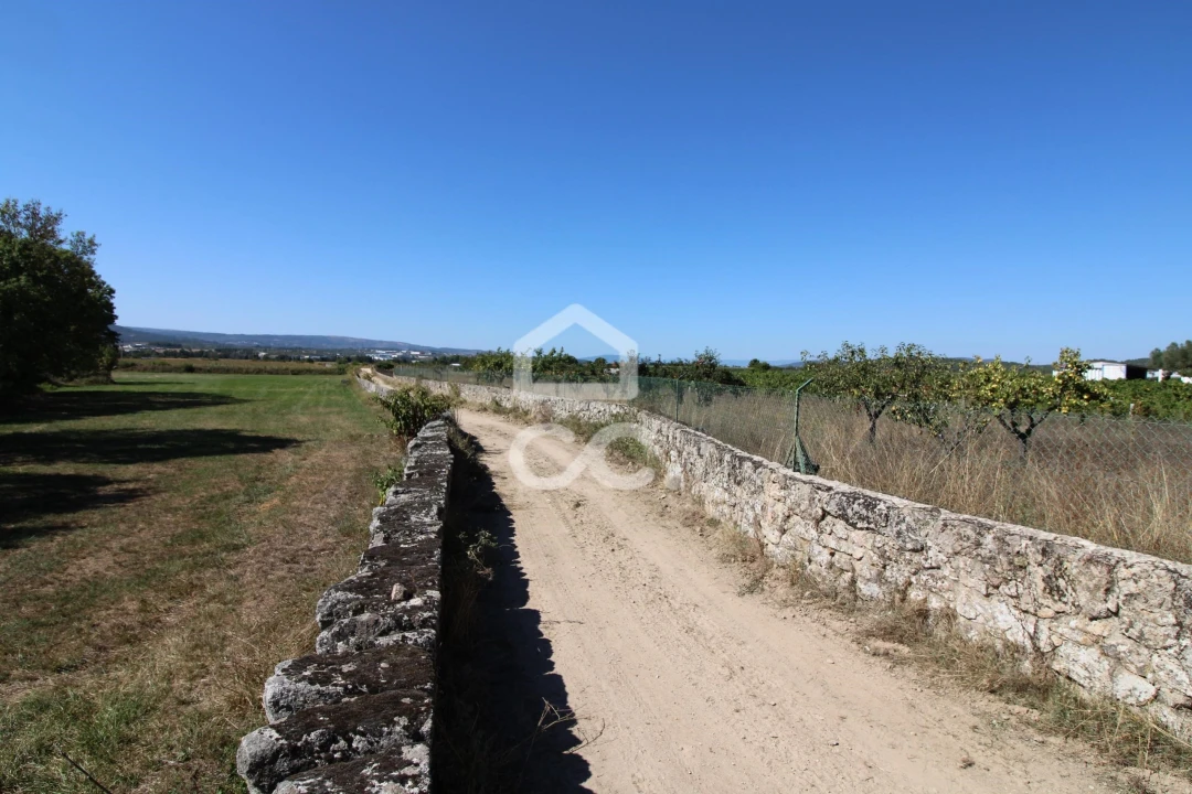 Terreno para Venda em Santo Estêvão Foto 4