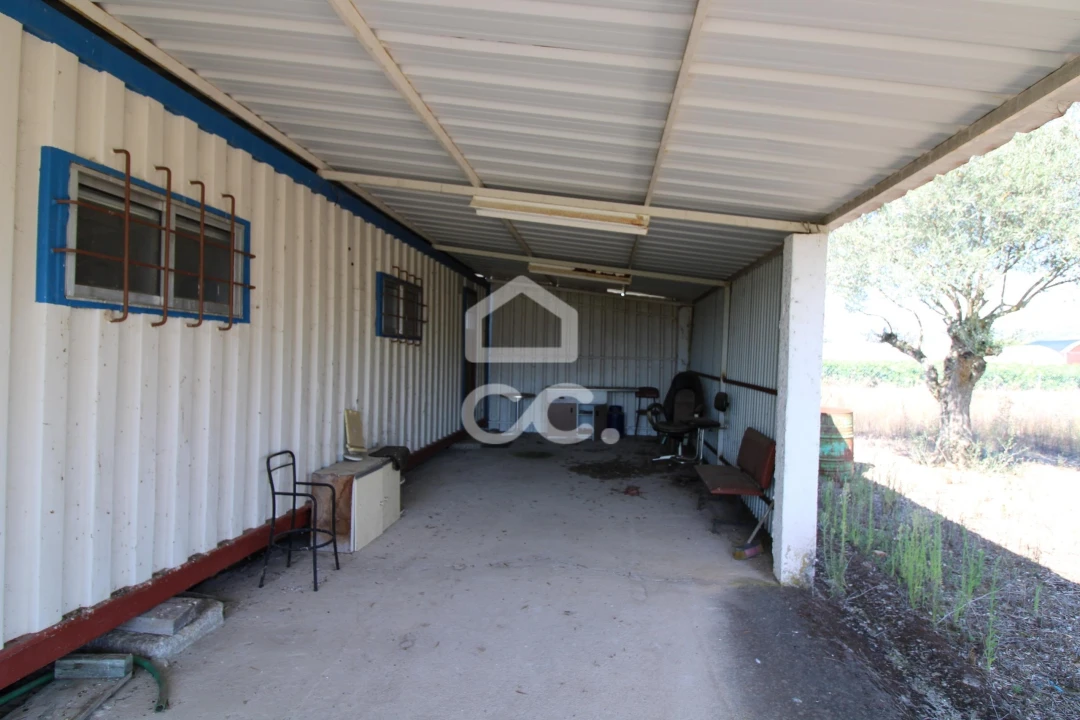 Terreno para Venda em Santo Estêvão Foto 13
