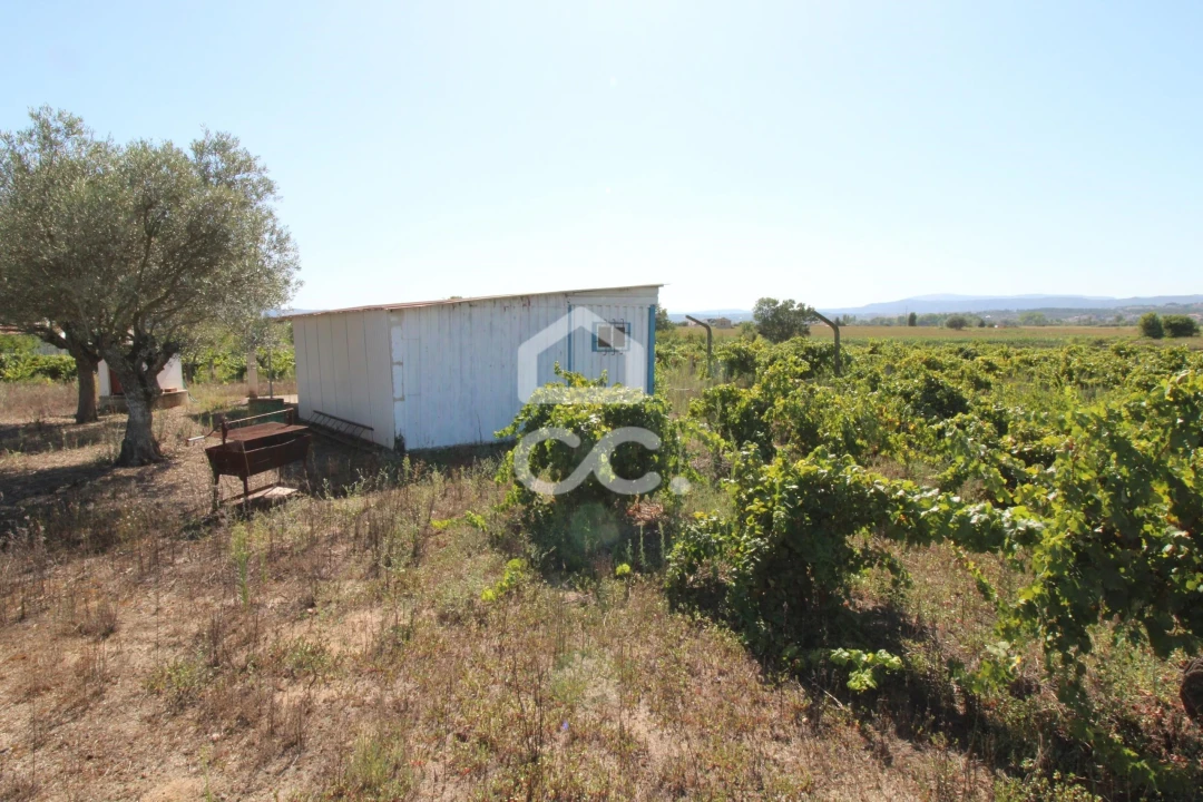 Terreno para Venda em Santo Estêvão Foto 10