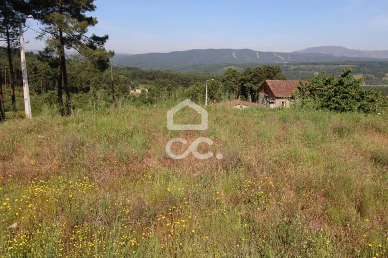 Terreno para Venda em Vilela do Tamega Foto 8