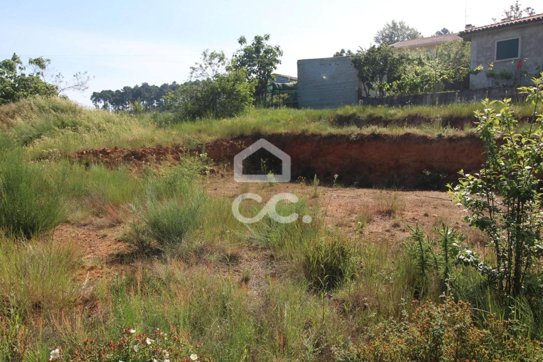 Terreno para Venda em Vilela do Tamega Foto 6