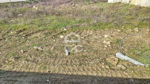 Terreno para Venda em Santa Maria Maior