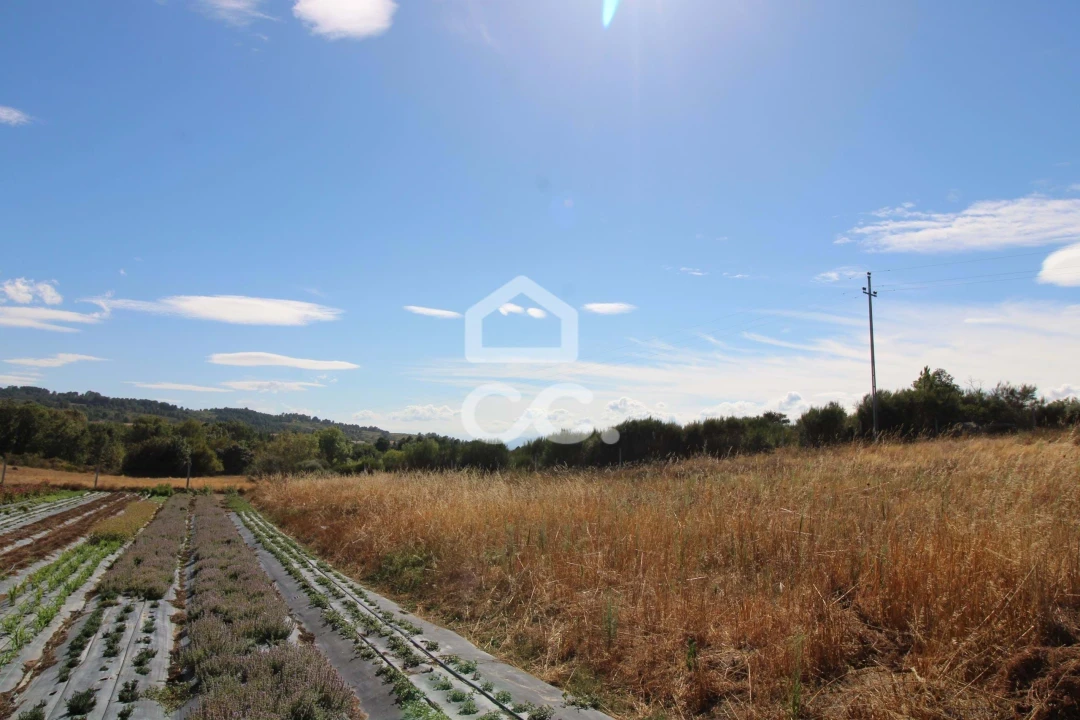 Terreno para Venda em Aguas Frias Foto 18