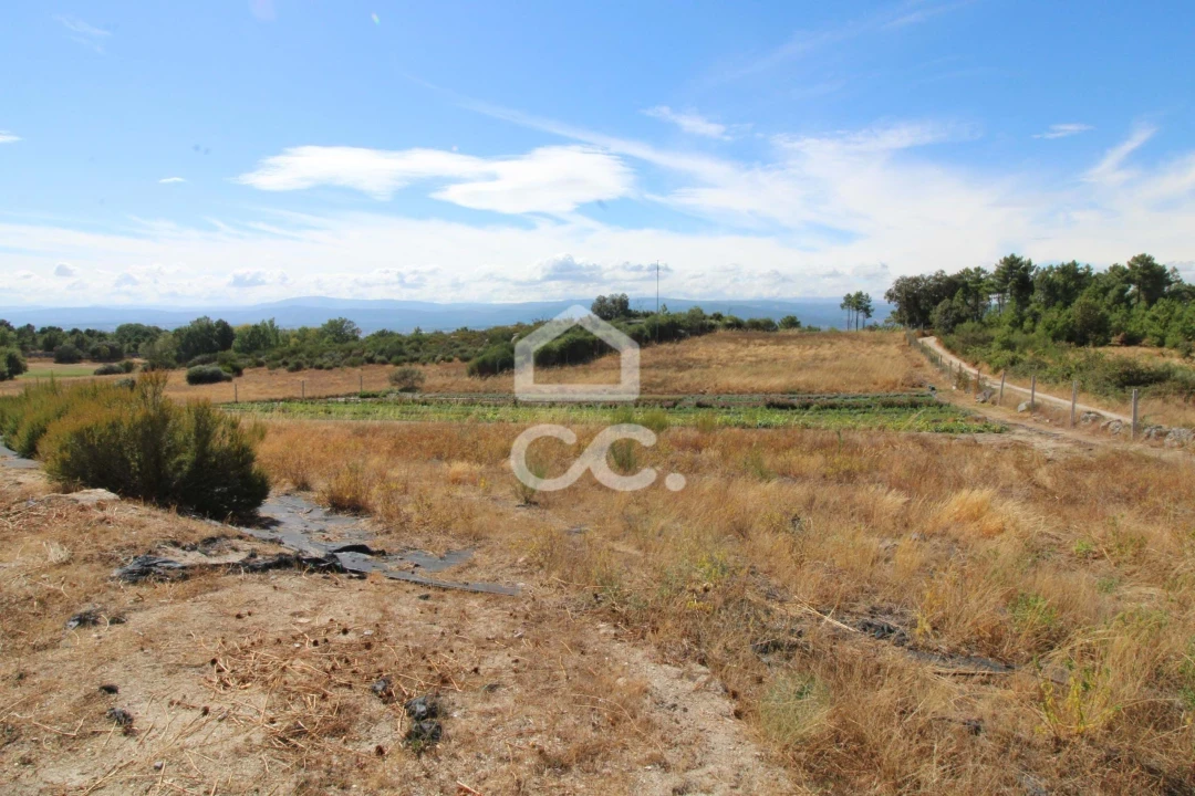 Terreno para Venda em Aguas Frias Foto 3