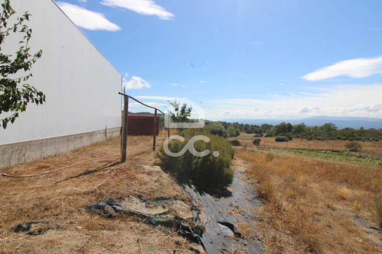 Terreno para Venda em Aguas Frias Foto 4