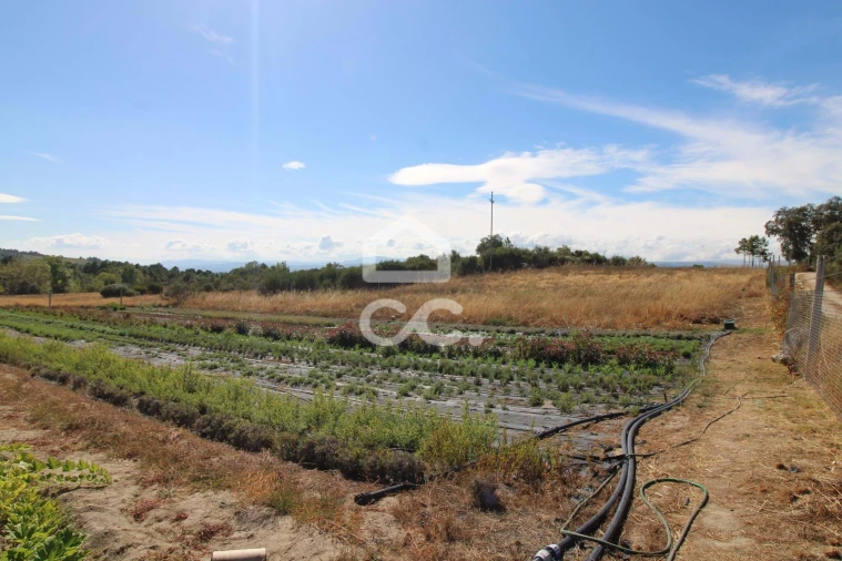 Terreno para Venda em Aguas Frias Foto 14